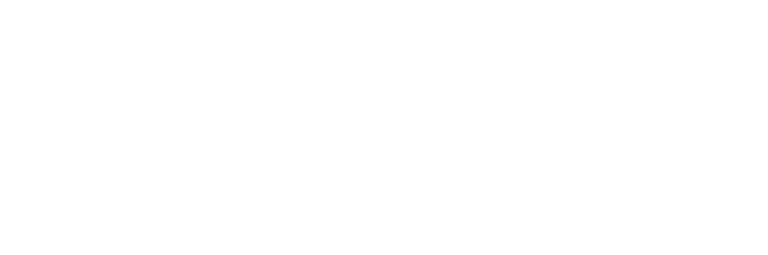 Cyber Safe Senior